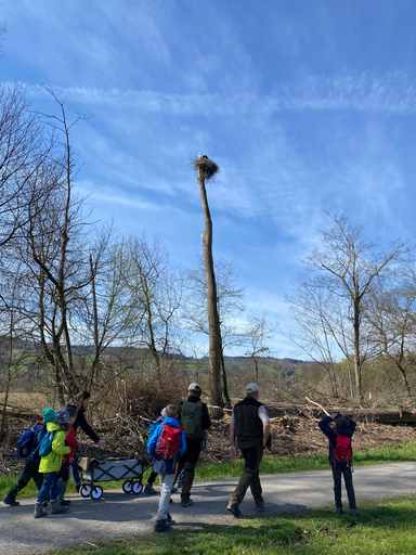 Rangerdienst Hallwilersee