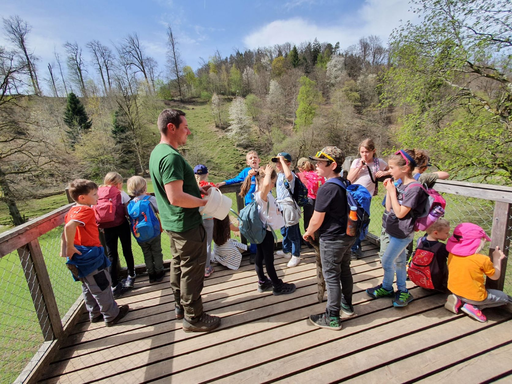 Wildparkführung Roggenhausen