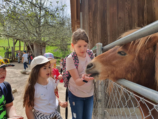 Wildparkführung Roggenhausen